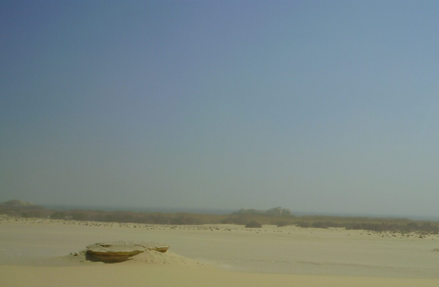 Baharia Oasis tour